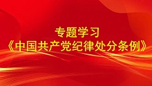 专题学习《中国共产党纪律处分条例》