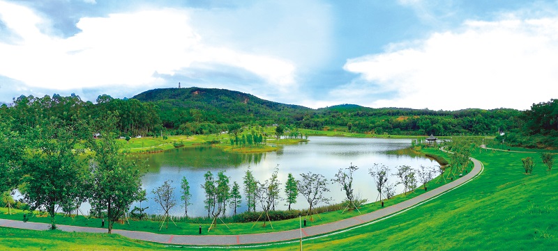 西宁湖.jpg 西宁湖.jpg